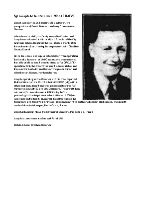 A preview of a PDF biography for Donovan, Joseph Arthur